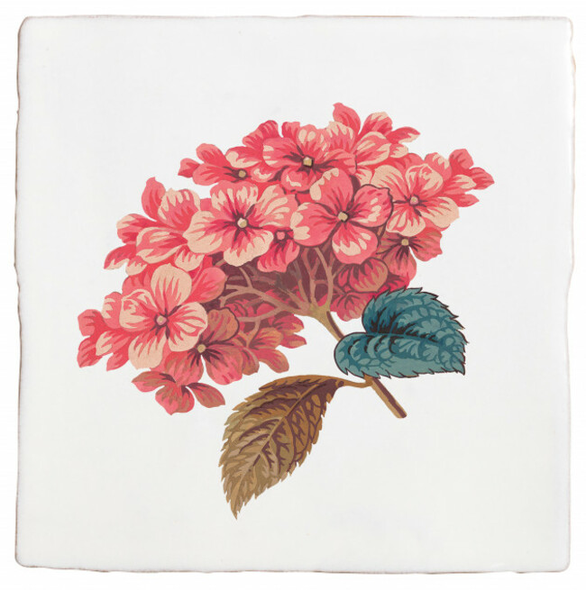 Ca Pietra X Divine Savages Tile collection -THE BRAMBLES_Hydrangea Belle