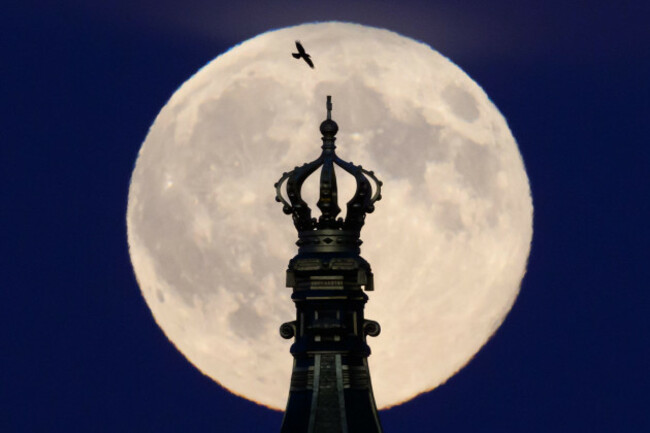 dresden-germany-05th-nov-2025-the-full-moon-rises-behind-the-state-chancellery-in-the-afternoon-with-an-approximation-of-just-under-357000-kilometers-this-full-moon-is-the-largest-of-the-year