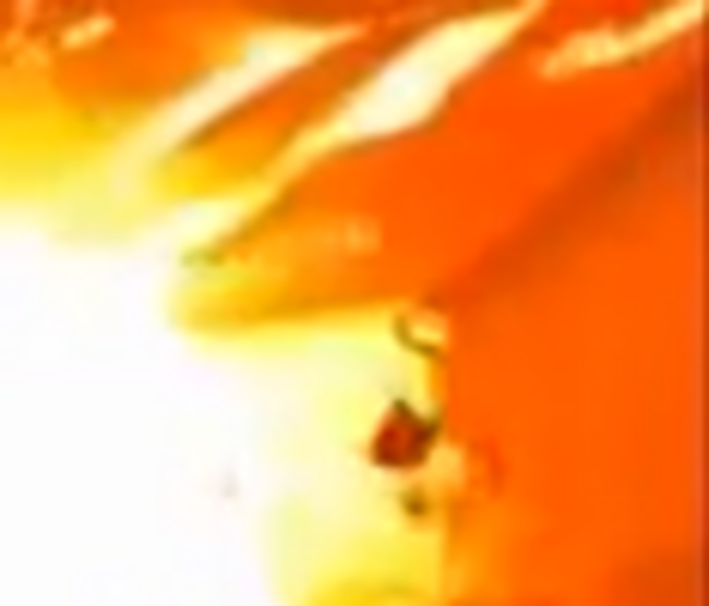 Screenshot 2025-11-11 155538