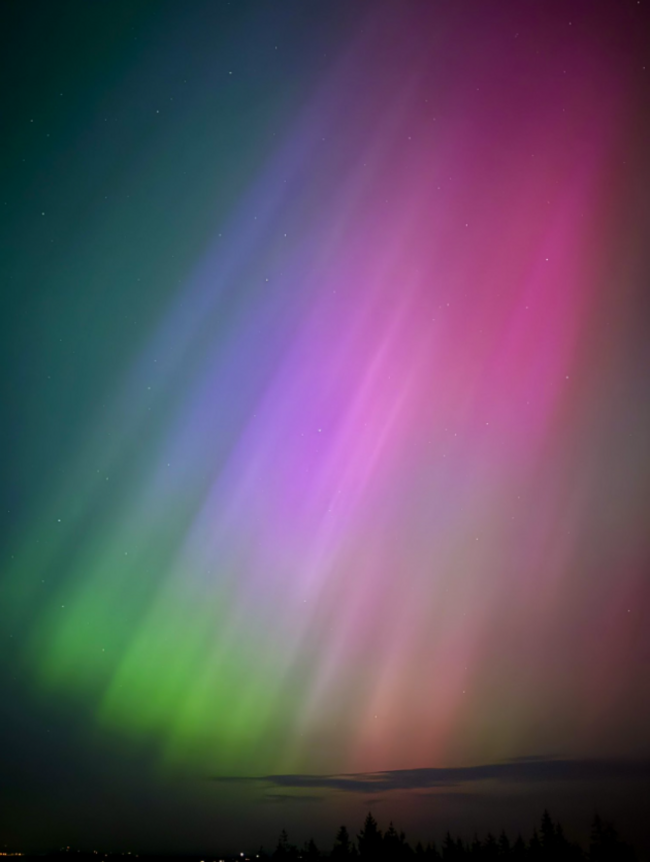 Screenshot 2025-11-11 160310