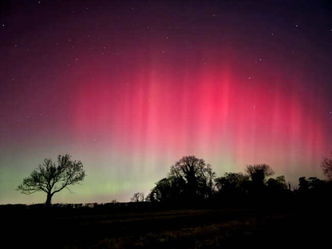 processed-5CA163AC-2504-45FB-B621-BFD9502C3EF5