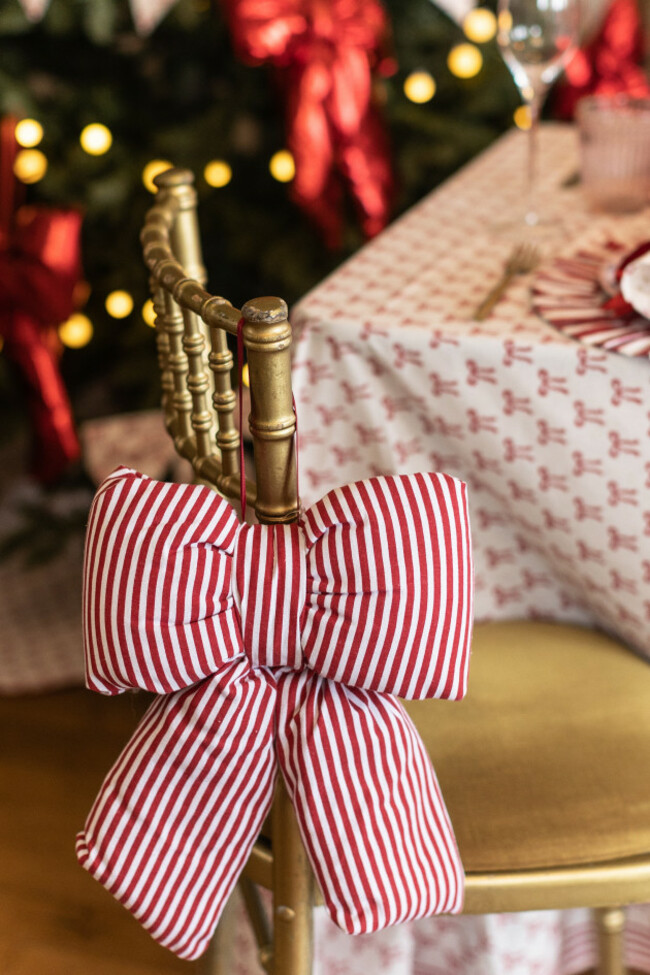 sarahcartonphotography-54