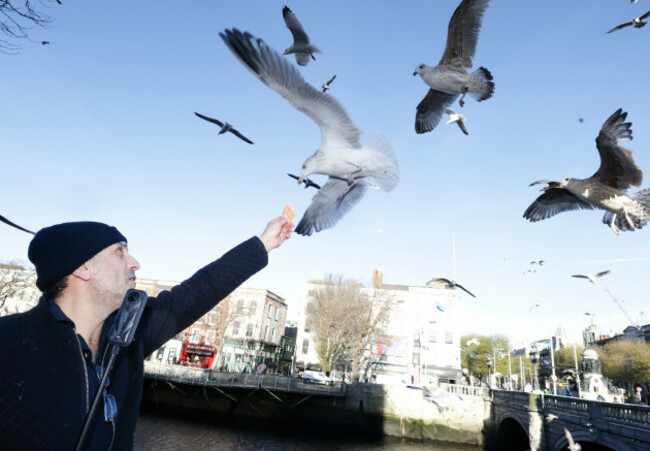 Standalone Dublin-6_90738652