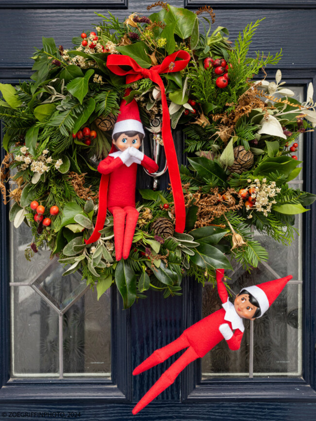 Elf on the Shelf Hanging Aroundjpg