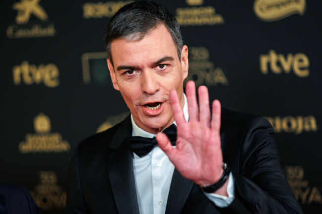 granada-spain-8th-february-2025-pedro-sanchez-spains-prime-minister-attends-the-red-carpet-of-the-39th-goya-awards-at-the-palacio-de-congresos