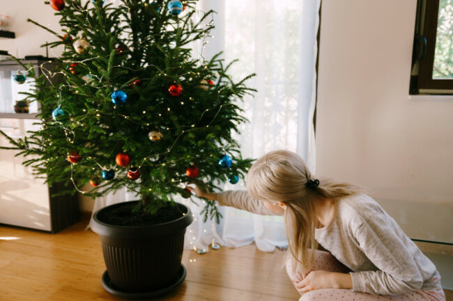 a-woman-decorates-a-live-christmas-tree-in-a-flower-pot