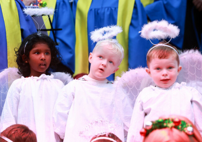 IFA Animal Crib-3_90739141