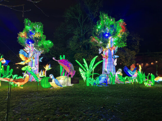 LR LIGHTS AT DUBLIN ZOO_6541_90737379