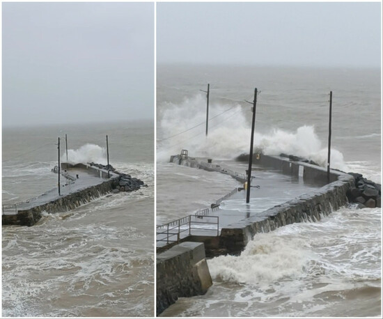 MixCollage-09-Dec-2025-01-56-PM-9620