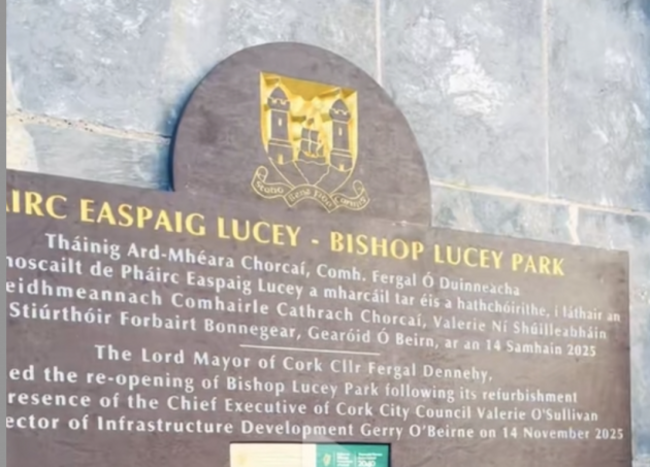 Screenshot 2025-12-11 at 10.22.07