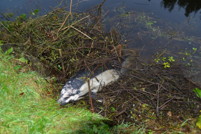 601005163_10238901771467954_6857513425759025422_n