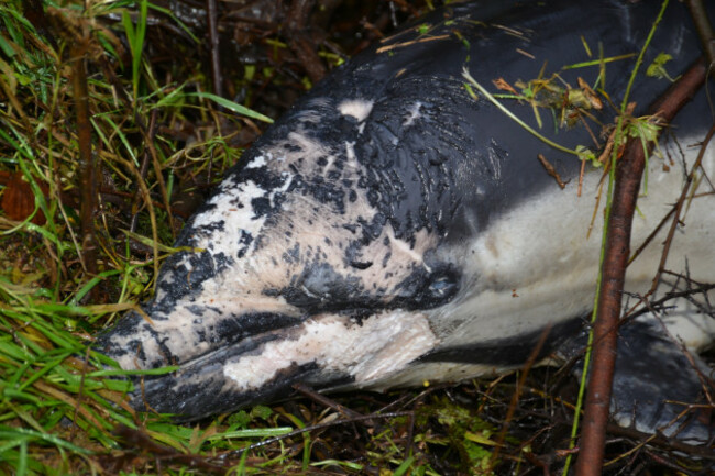 600960490_10238901770587932_6565002138014434193_n