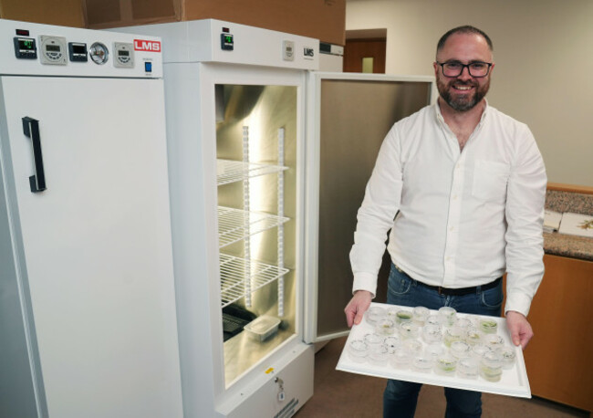 conservation-botanist-dr-darren-reidy-displays-seed-germination-trials-in-an-incubator-in-his-office-at-the-herbarium-at-the-national-botanic-gardens-dublin-in-charge-of-logging-each-native-seed-in