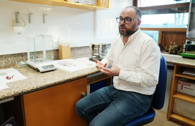 conservation-botanist-dr-darren-reidy-in-his-office-at-the-herbarium-at-the-national-botanic-gardens-dublin-in-charge-of-logging-each-native-seed-in-ireland-dr-reidy-describes-the-project-as-like