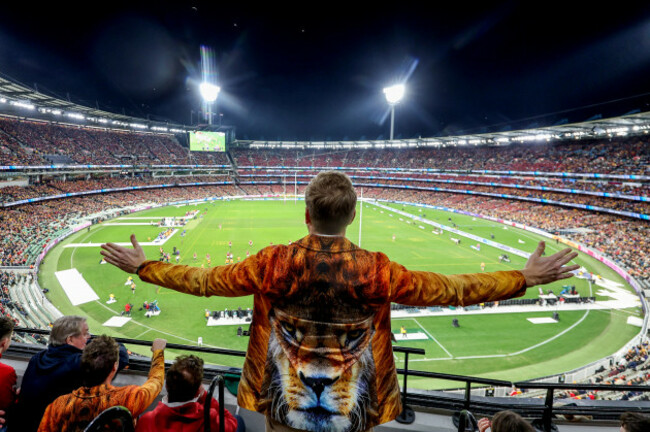 a-lions-fan-during-the-match