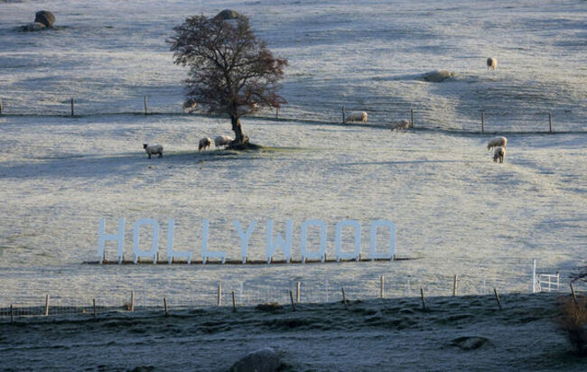 1029 Frost in Hollywood_90740742