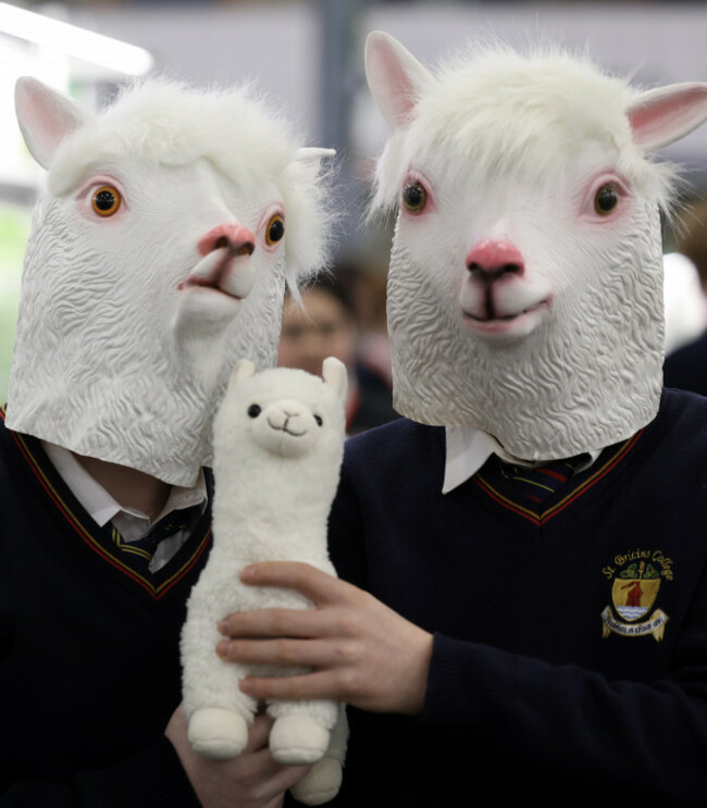 677Stripe Young Scientist Exhibition_90741025