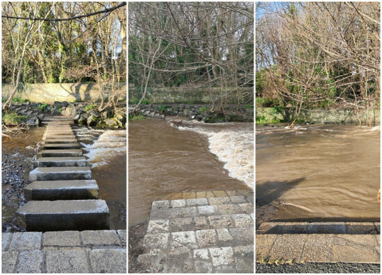 MixCollage-27-Jan-2026-12-20-PM-2589