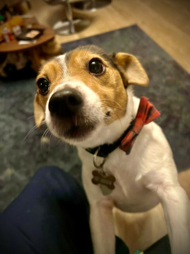 6c5fa5cd-34a1-4aeb-a8f0-2860491e56ad