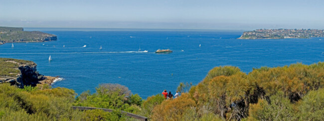 manley-heads-with-ferry