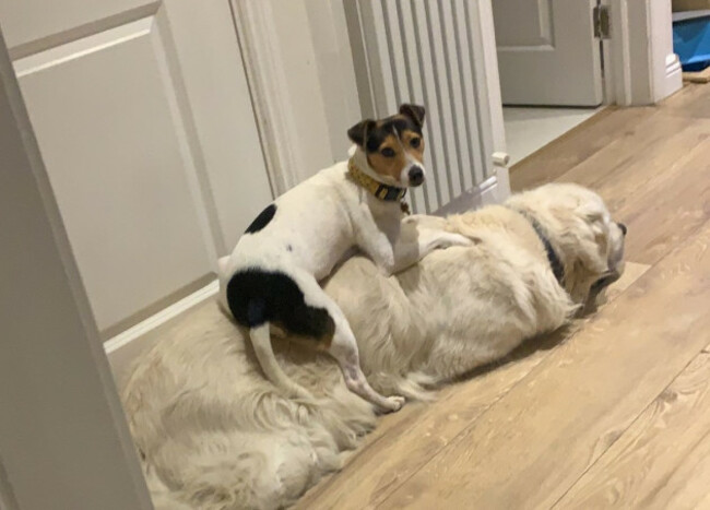 c553f7a7-4ea0-4d63-82e1-0081c7e62bf2