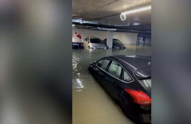 Screenshot 2026-02-13 at 14.14.16