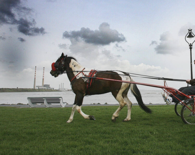 Screenshot 2026-02-17 at 12.38.36