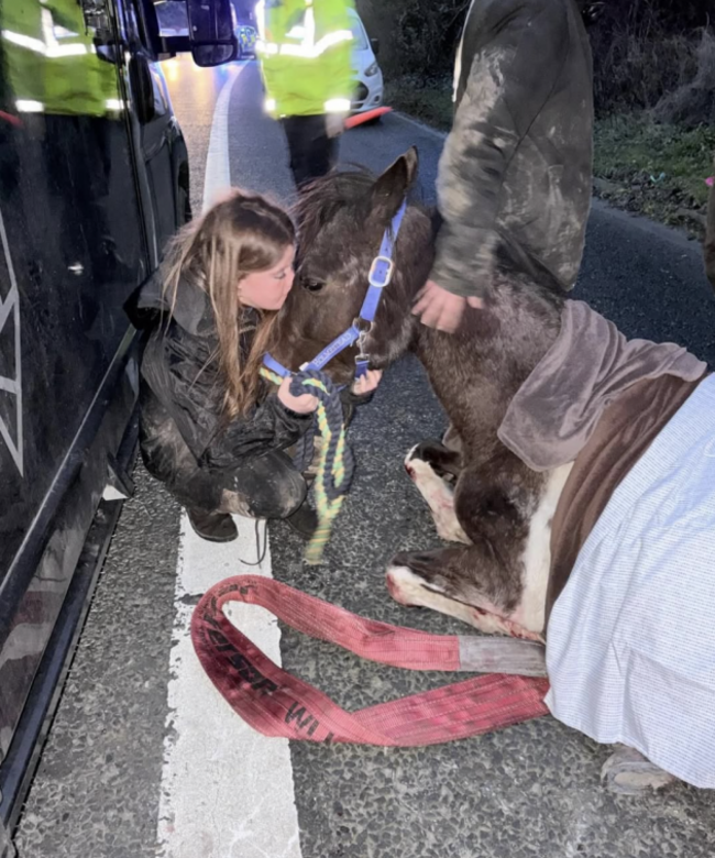 Screenshot 2026-02-17 at 12.40.03