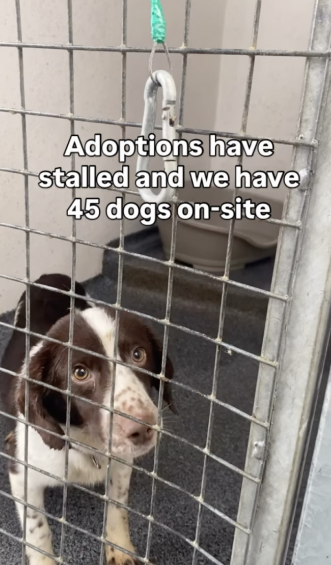 Screenshot 2026-02-17 at 13.14.32