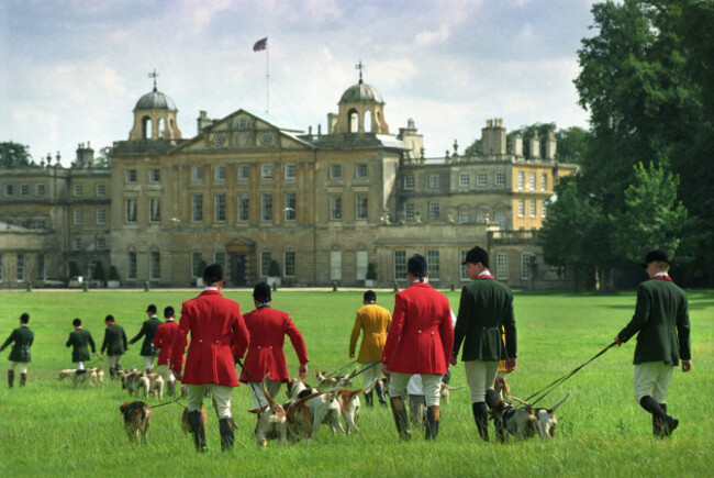 fox-hounds-on-leads-at-the-beaufort-hunts-gloucestershire-festival-of-hunting-uk-at-badminton-house-south-gloucestershire-uk-image-shot-1997-exact-date-unknown
