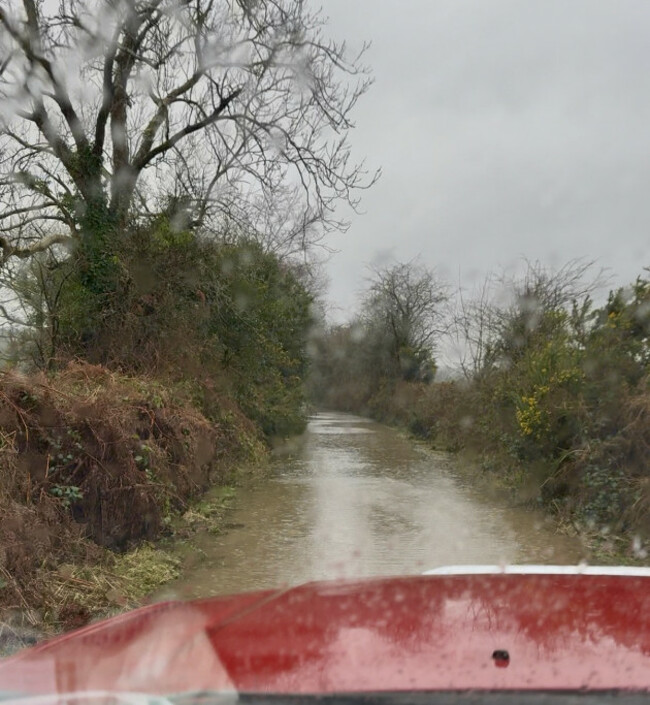 Flooded entrance laneway to World Bee Sanctuary - Image: Meadow Handrick