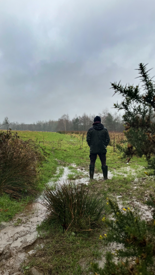 The Bee Guy surveys sodden fields on World Bee Sanctuary - Image: Clare-Louise Donelan