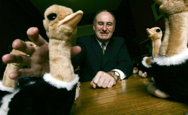 phil-hogan-fine-gael-enterprise-trade-and-employment-spokesman-reaches-for-one-of-15-ostriches-representing-the-taoiseach-and-his-cabinet-in-central-dublin-as-it-launched-a-nationwide-poll-to-fin