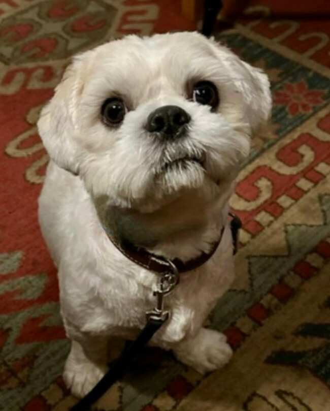 PHOTO-2026-01-26-17-17-20