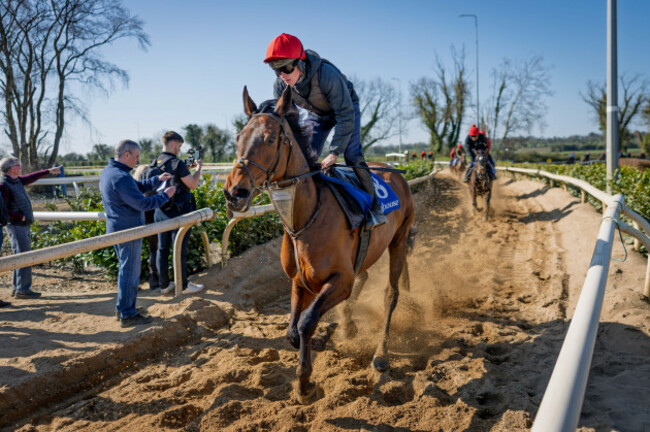 bioluminescence-and-ben-harvey