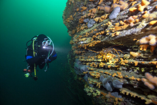 OVERALLWinner__Mark O'Leary