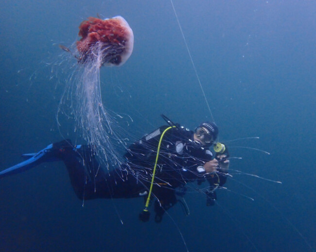 Stephen Frawley_People_First