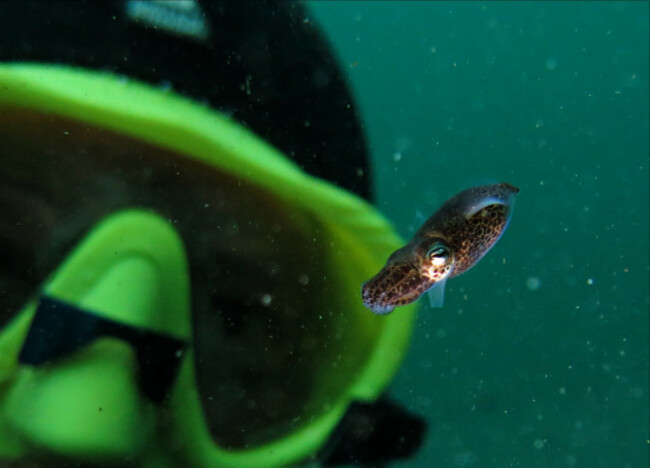 Rebecca Cooley_People_Second