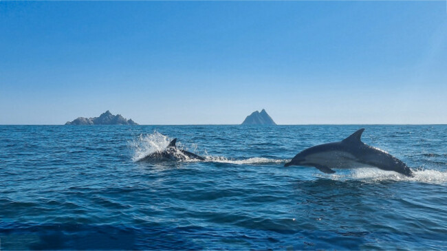 Seamus Campbell_Landscape_First