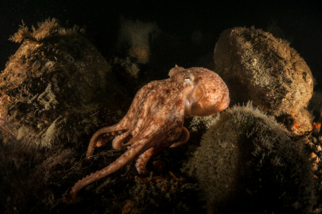 Seamus Campbell_Wide_Second