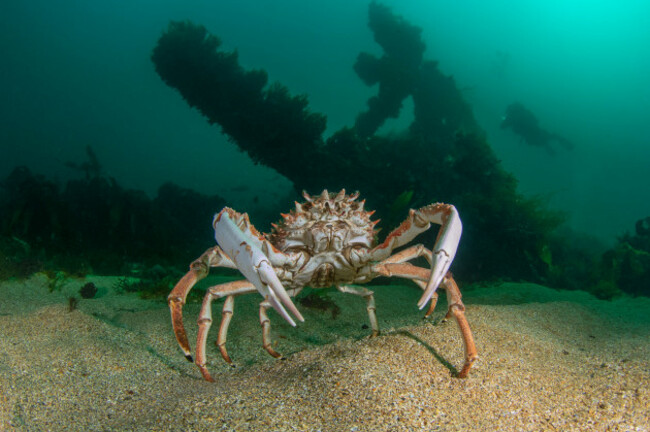 Ivan Donoghue_Wide_Third