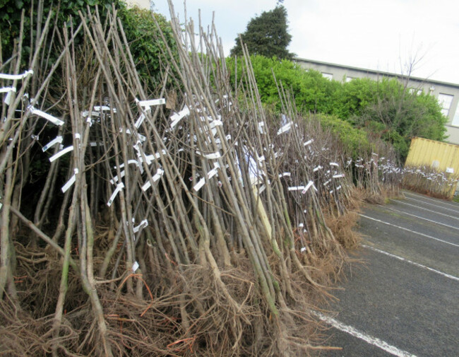 485694532_9413539468715219_2145764425470774277_n (1)