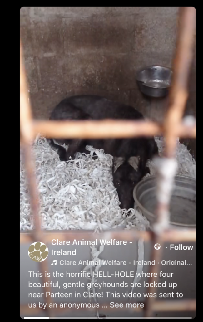 Screenshot 2026-03-26 at 13.52.35