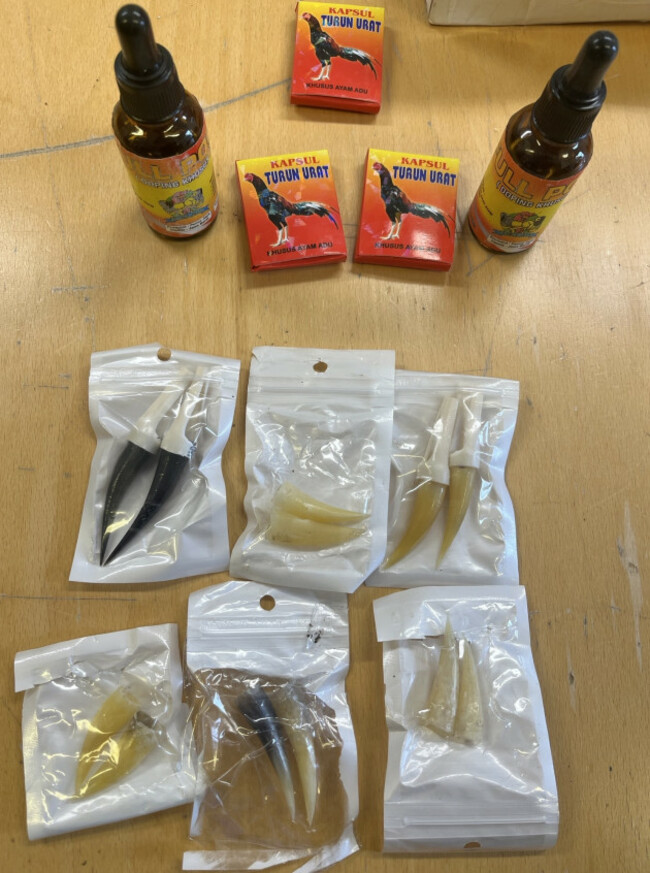 659150154_1270157768622982_8589314994013011401_n