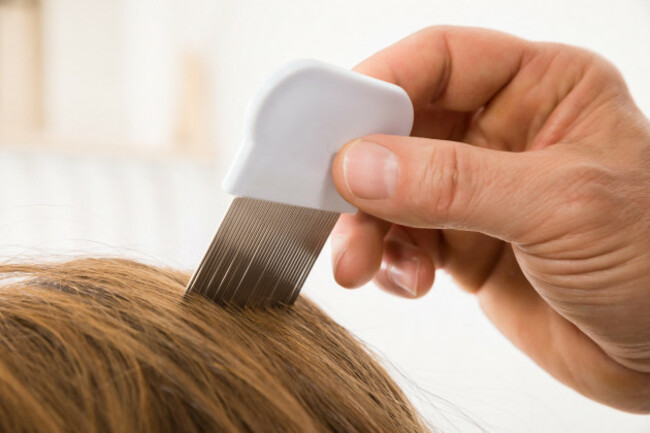 close-up-of-person-hand-using-lice-comb-on-patients-hair