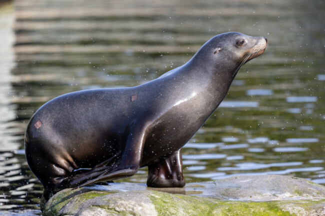 REPRO_FREE_Dublin_Zoo_09