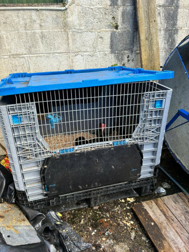 659651870_1271839398454819_835750625234164337_n