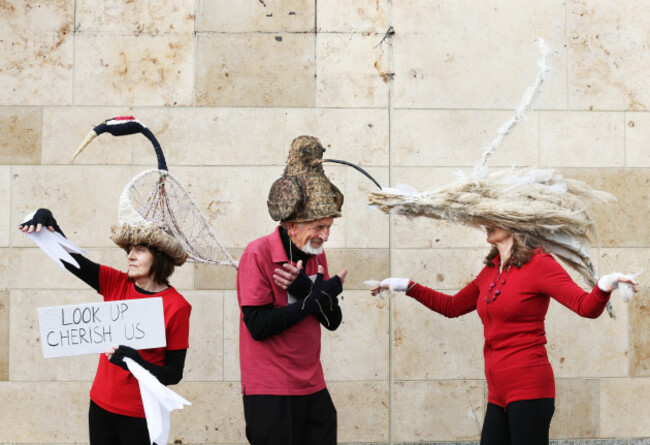 5_NO_FEE_The_Conference_of_Birds_90746839