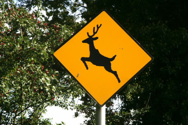 road-sign-warning-of-deer-co-monaghan-ireland-image-shot-2007-exact-date-unknown