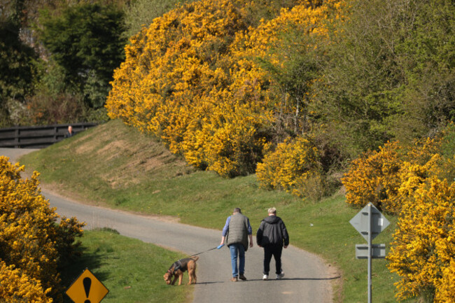 TWO MEN AND A DOG. 3243_90747141